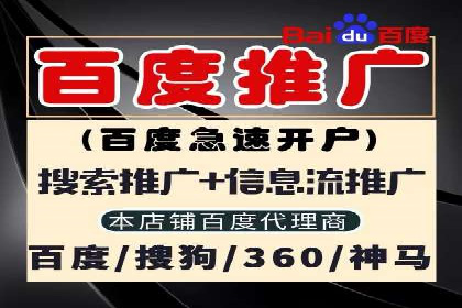 竞价推广公司案例：实战技巧与策略